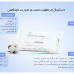 دستمال مرطوب جیبی لدورا بروشور